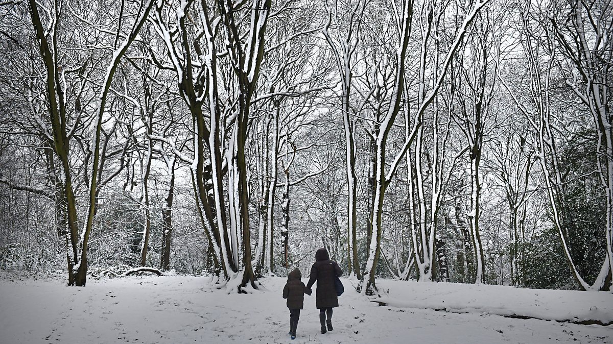 Homeostasis and response: Homeostasis in humans - AQA