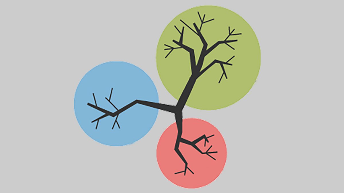 Inheritance, variation and evolution: Classification of living organisms - AQA