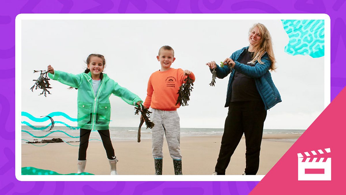 Environments: Let's go to the beach