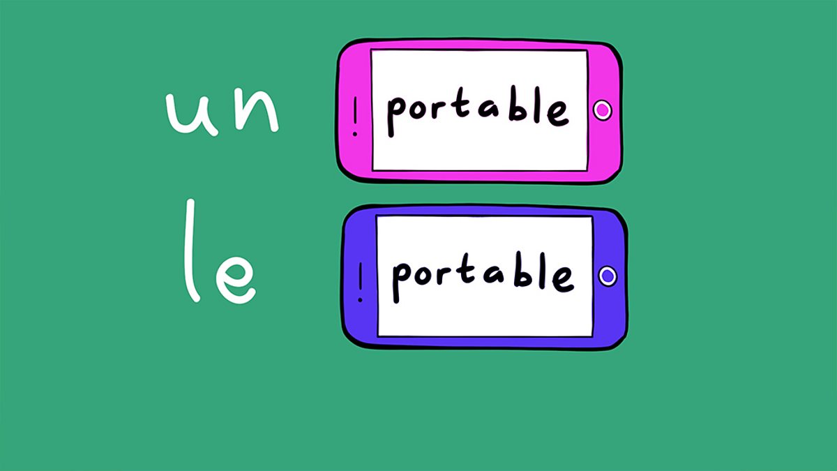 Grammar : Genders and articles in French