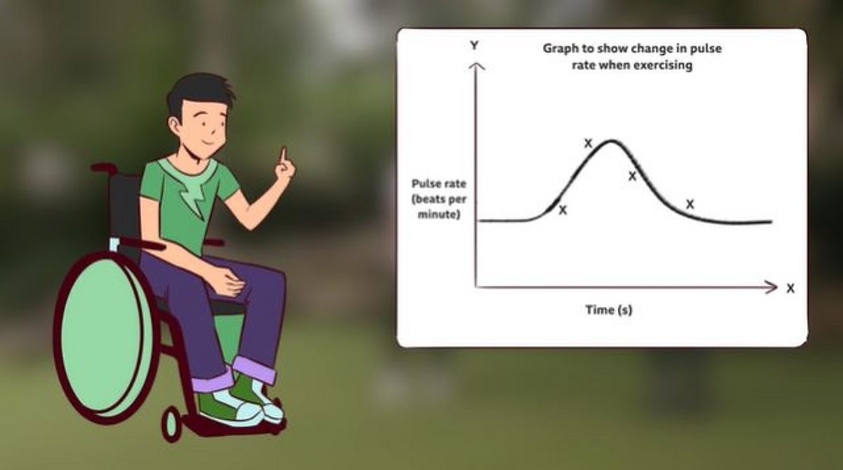 Working scientifically: Graphs and charts