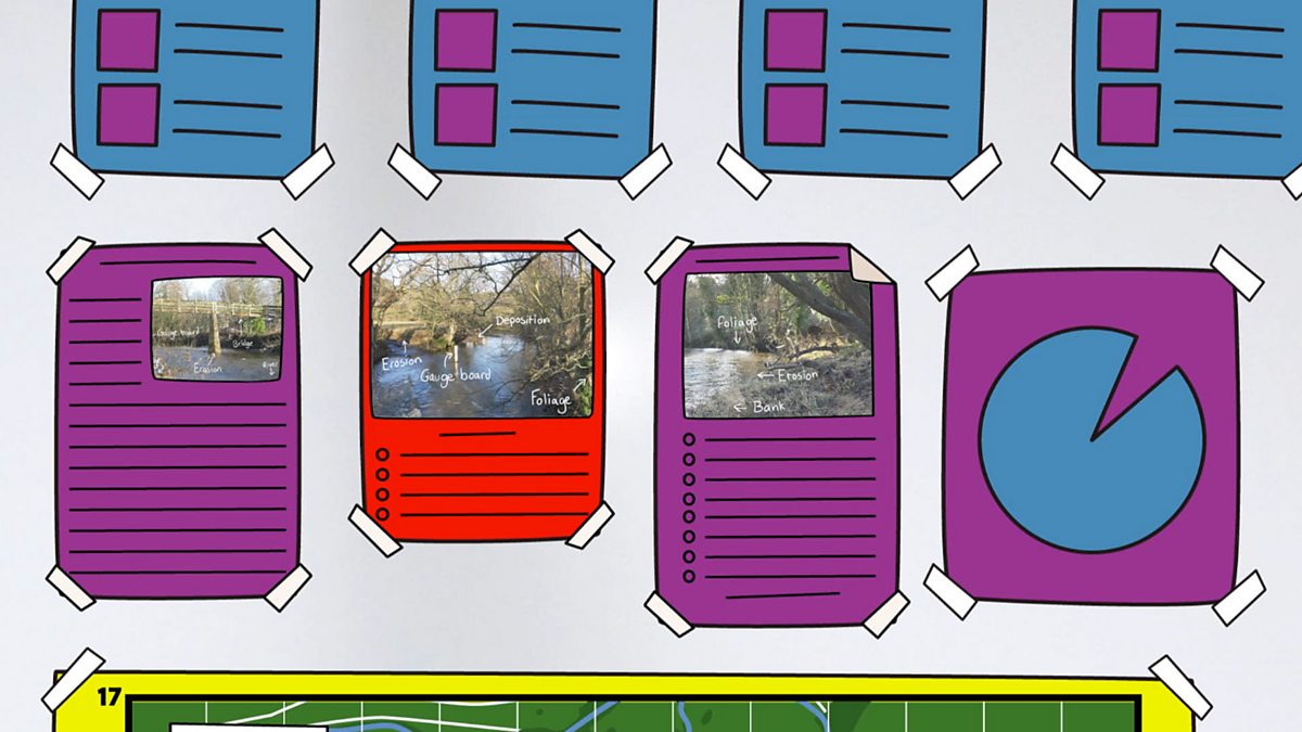 Fieldwork: How to analyse, present and evaluate fieldwork findings