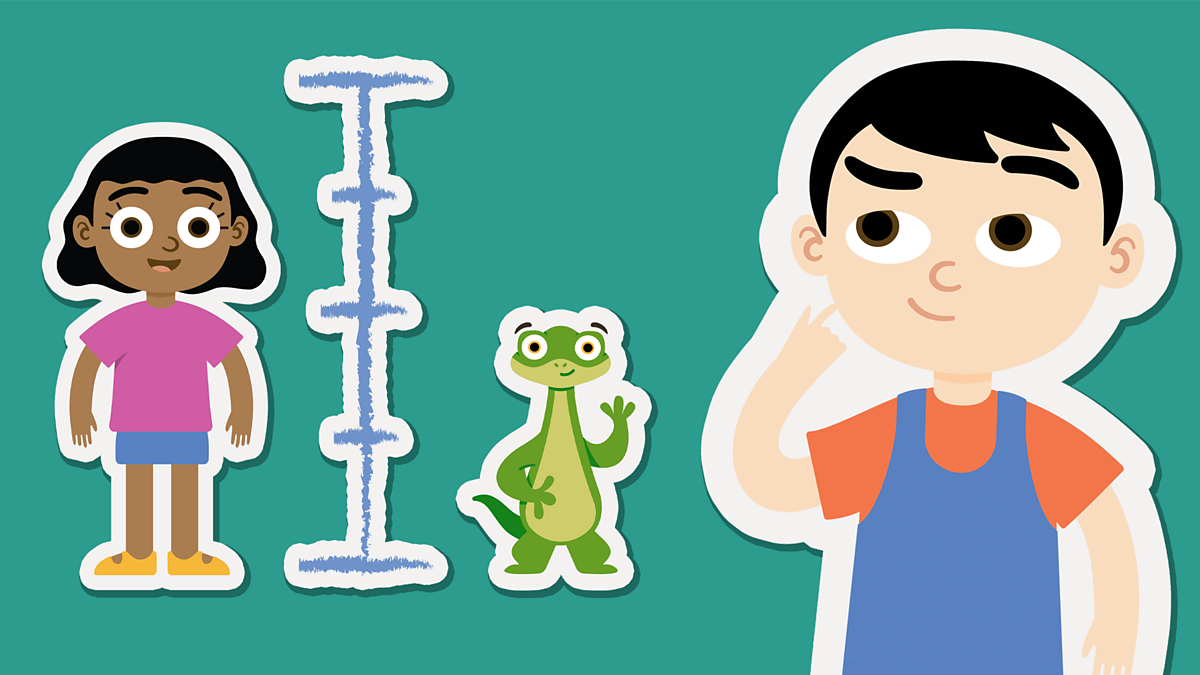 Measurement: Solving problems involving height and length