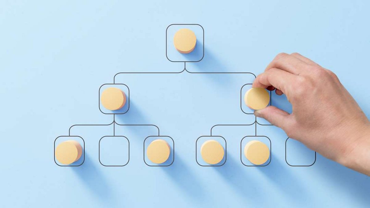 Human resources: Organisational structures - Eduqas