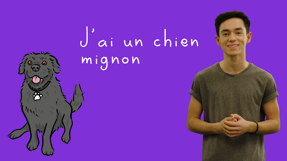 Grammar : Adjectives in French