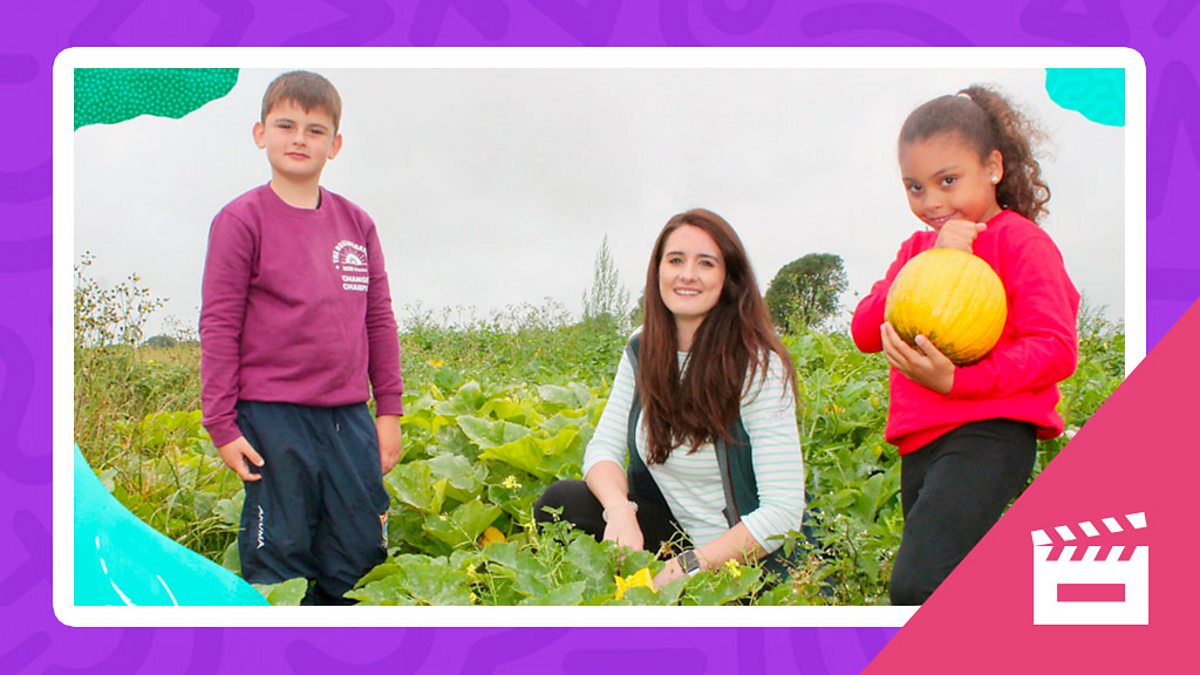 Environments: Let's visit a farm