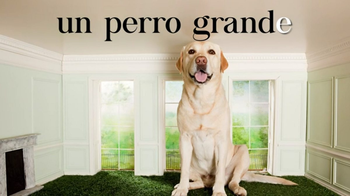 Grammar: Revising Spanish grammar - adjectives - Edexcel