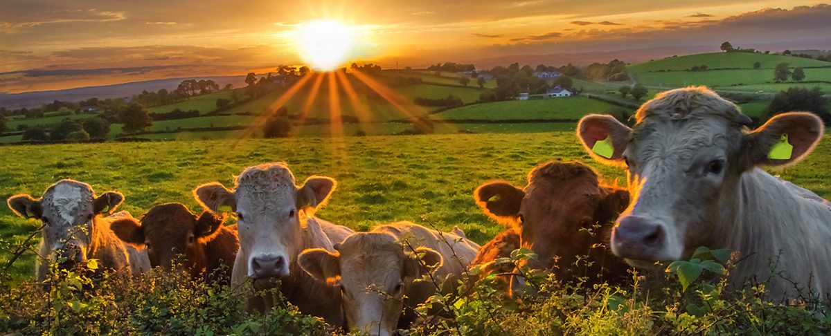 The Earth and atmosphere: What is methane?