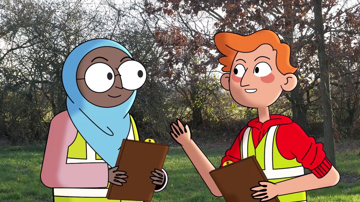 Fieldwork: How do you research a fieldwork investigation?