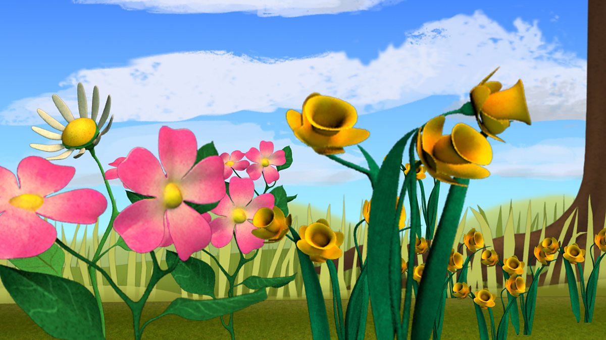 Plants: The parts of a plant