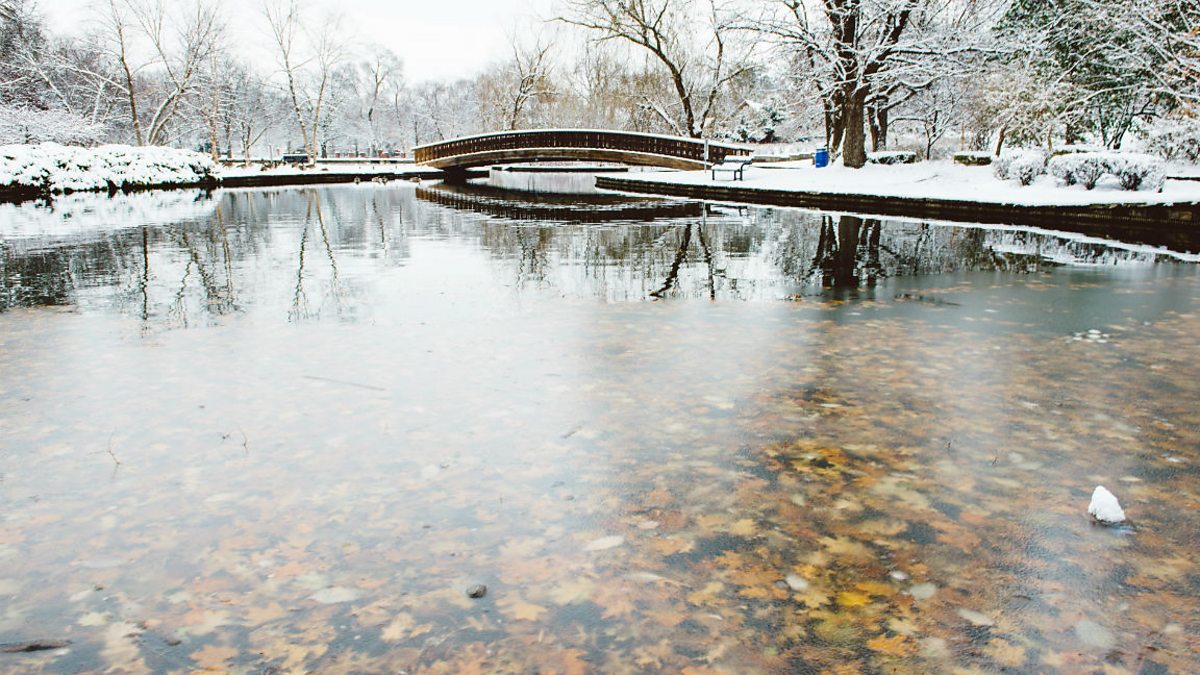 Poetry: Neutral Tones by Thomas Hardy - Edexcel