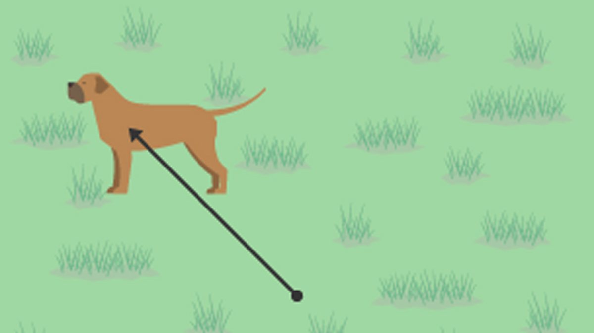 Geometry and Measure: Loci and constructions - WJEC