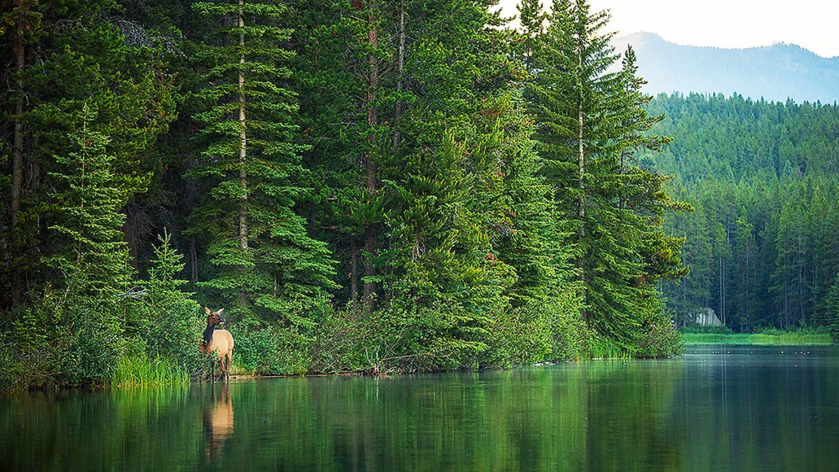 Human and physical geography: Global biomes