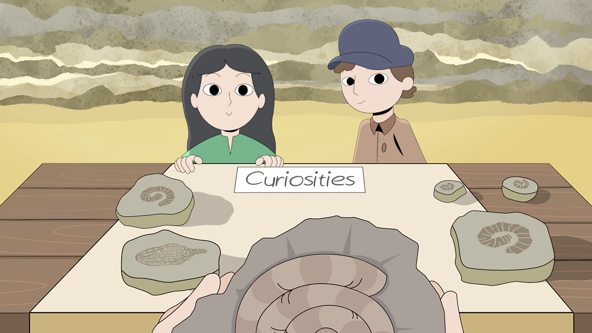 Famous people: Who was the fossil hunter Mary Anning?