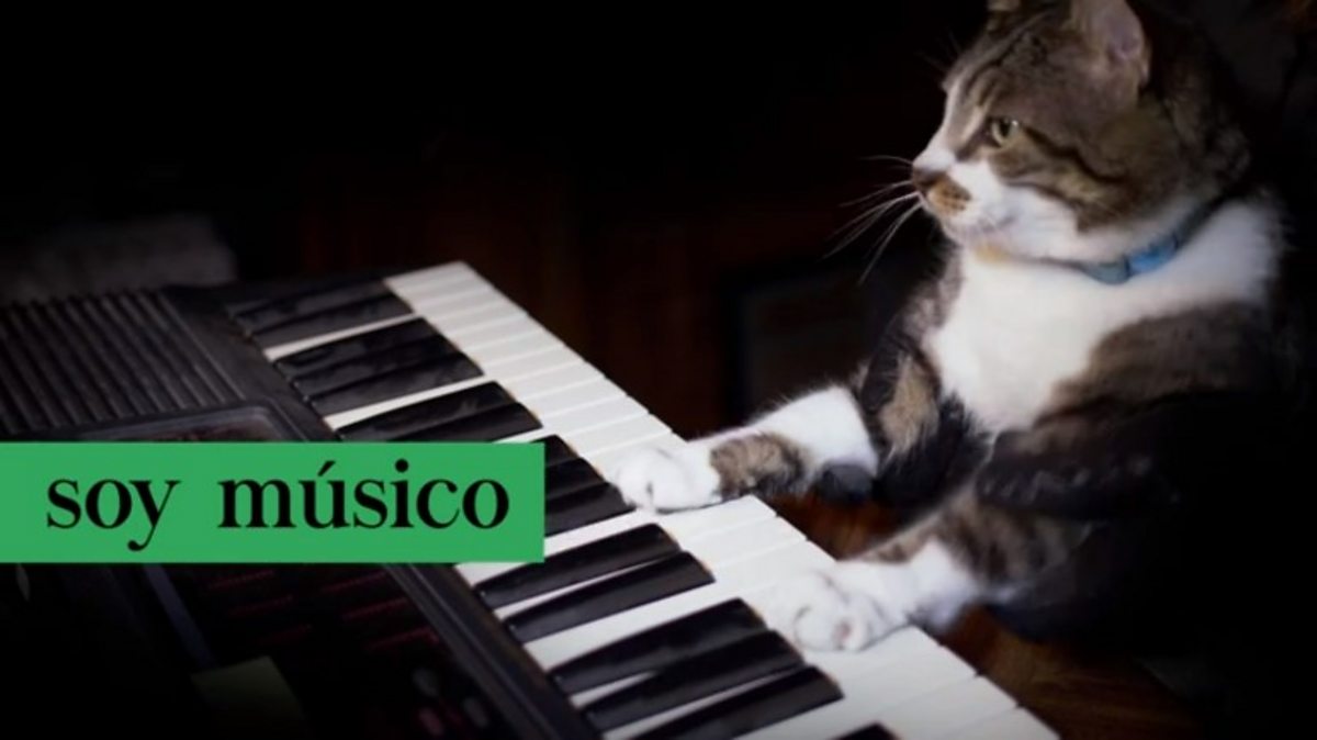 Grammar: Revising Spanish grammar - present tense - Edexcel