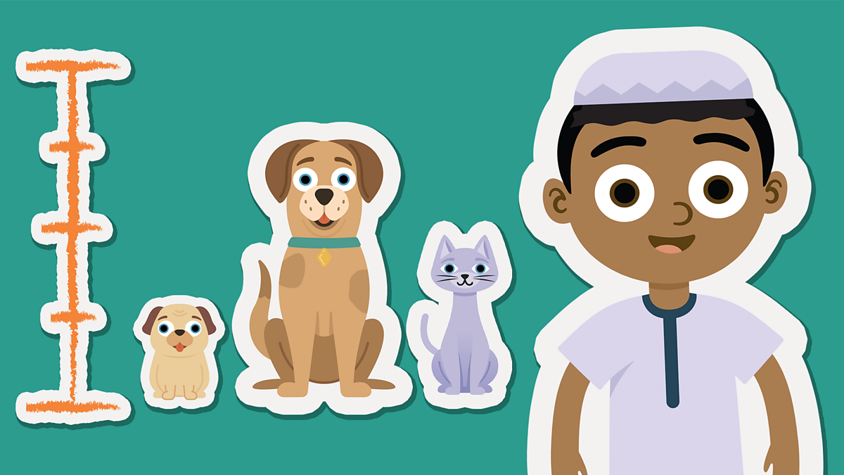 Measurement: Compare length and height