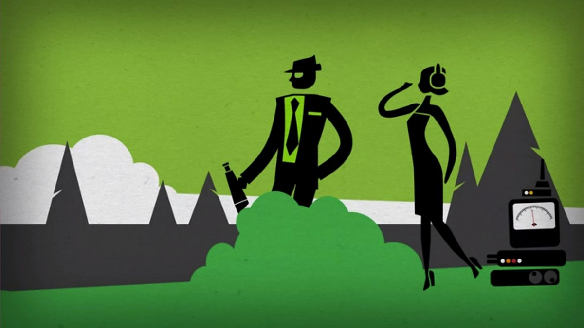 Grammar: Other French verb forms