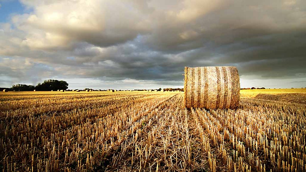 Poetry: To Autumn by John Keats - Eduqas