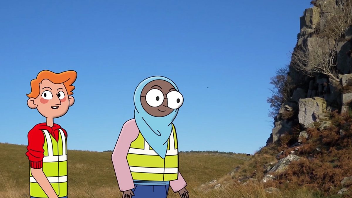 Fieldwork: What is geographical fieldwork?