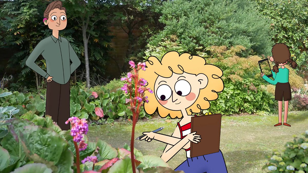 Fieldwork: What is fieldwork?