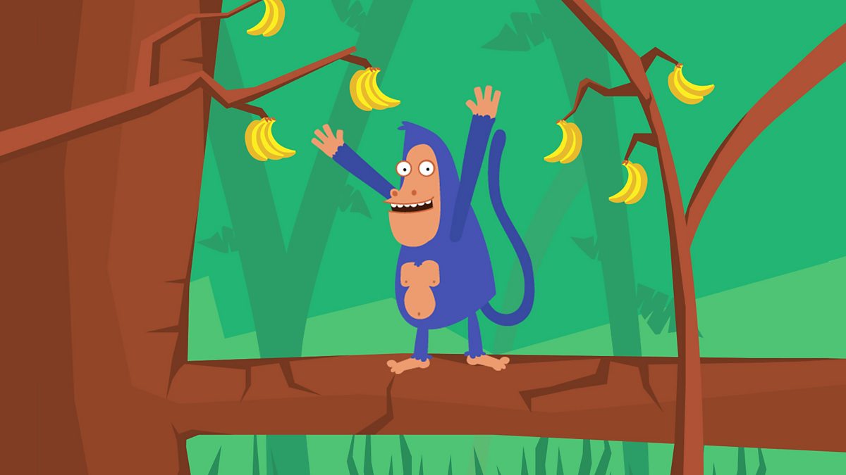 Numerical pattern: What are odd and even numbers?