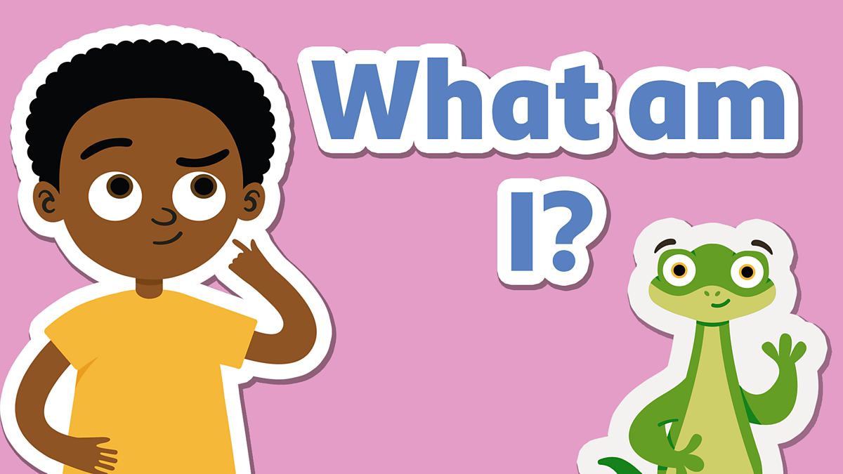 Types of text: What is a riddle?