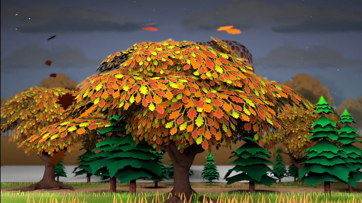 Plants: Wild and garden plants