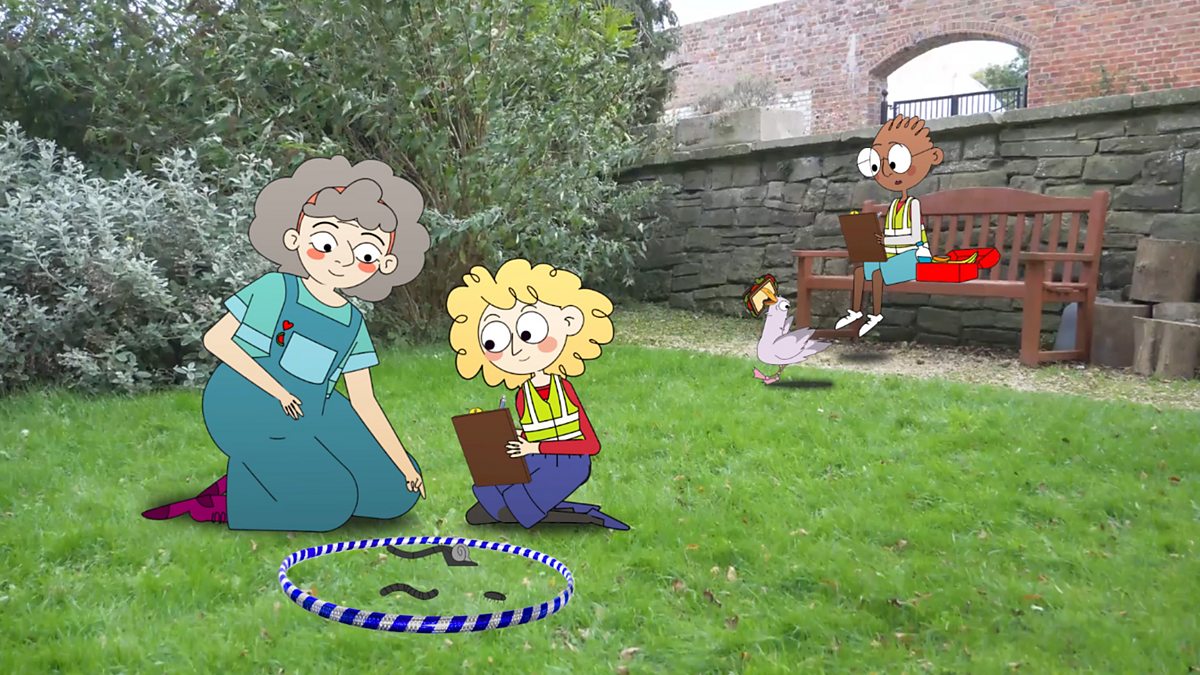 Fieldwork: What tools can we use to carry out fieldwork?