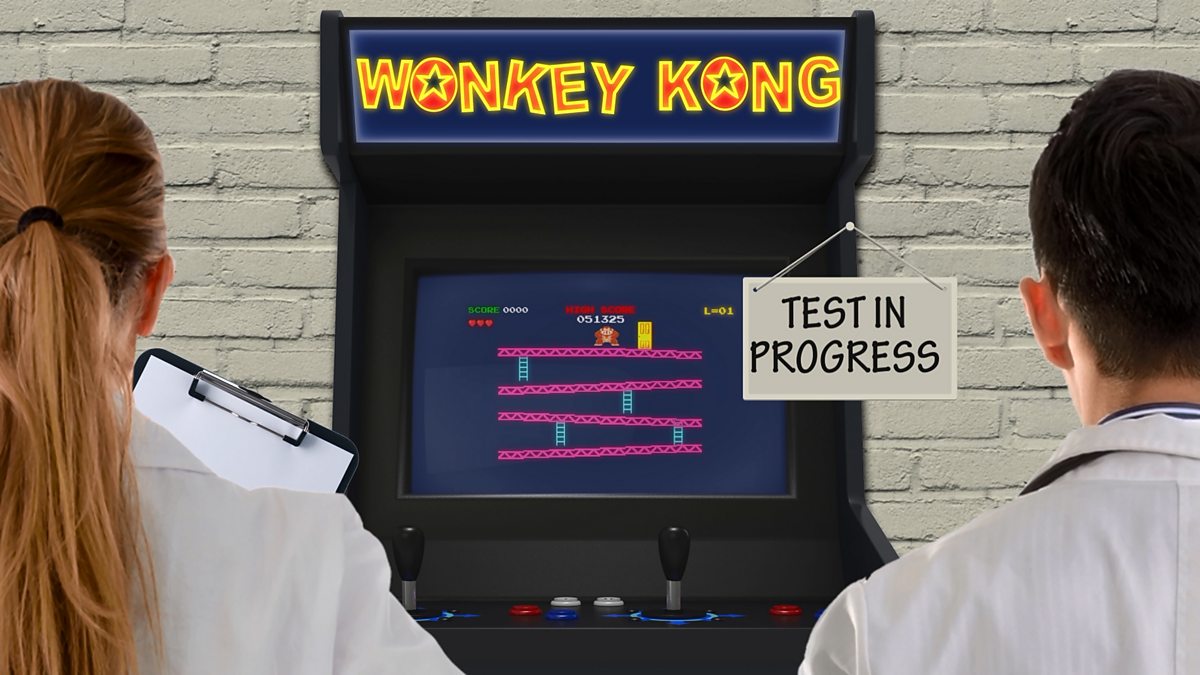 Digital development concepts (programming): Developing test plans and testing a solution - CCEA