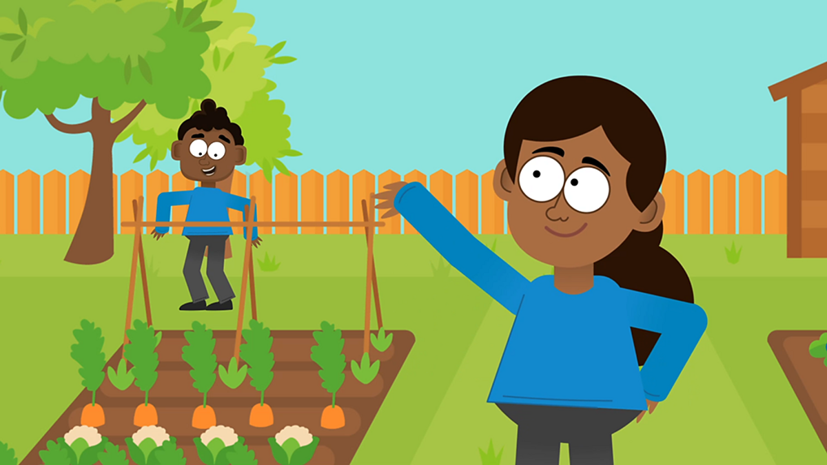 Vocabulary: Glorious green plants vocabulary