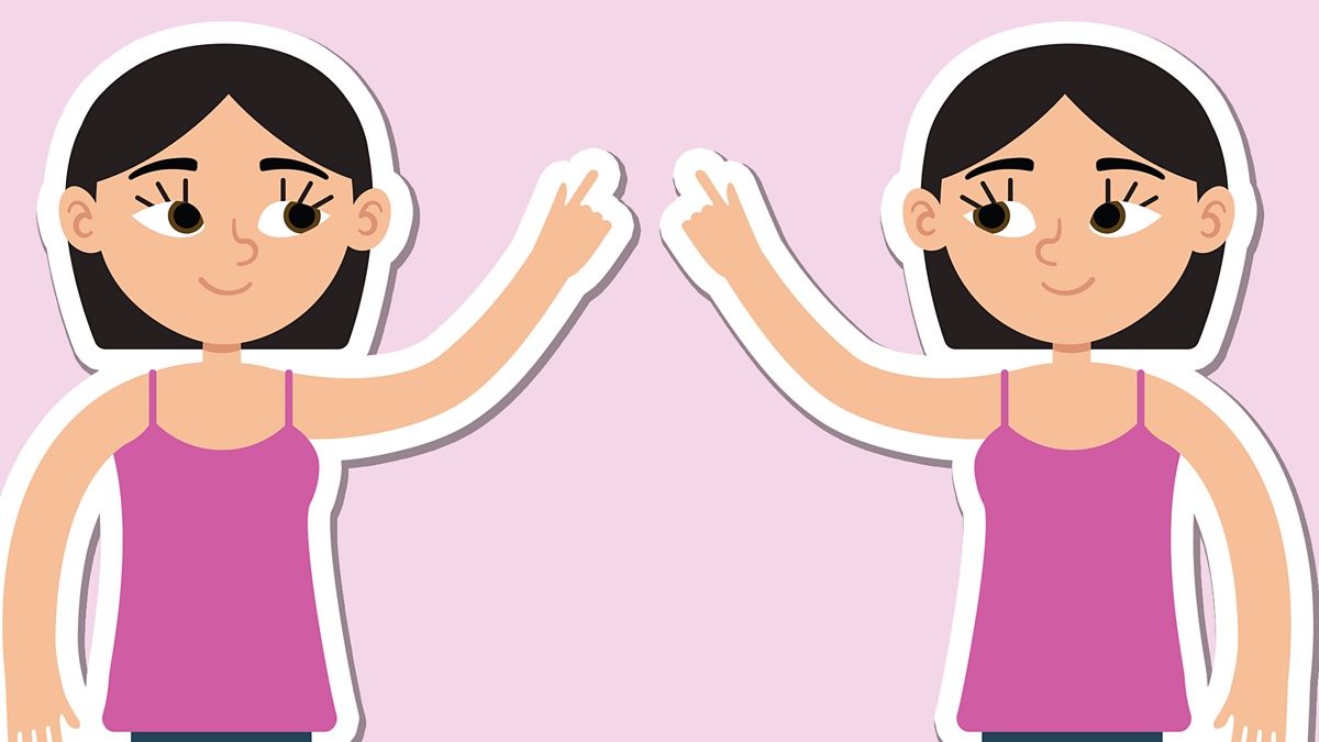 Shapes and movement: Angles and shape: Reflection