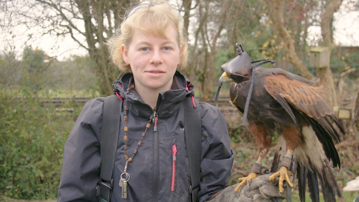 How to become a bird of prey specialist: Florrie's story