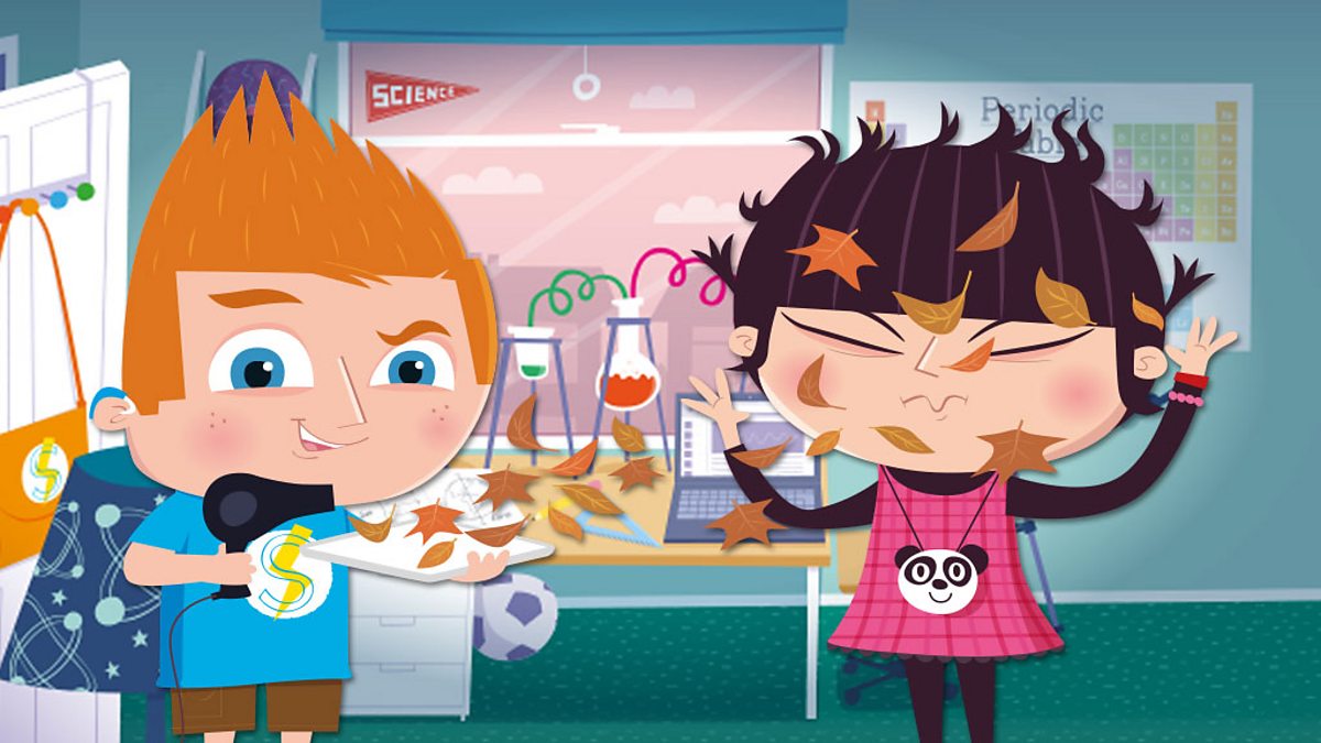 Seasonal changes: What are the seasons?