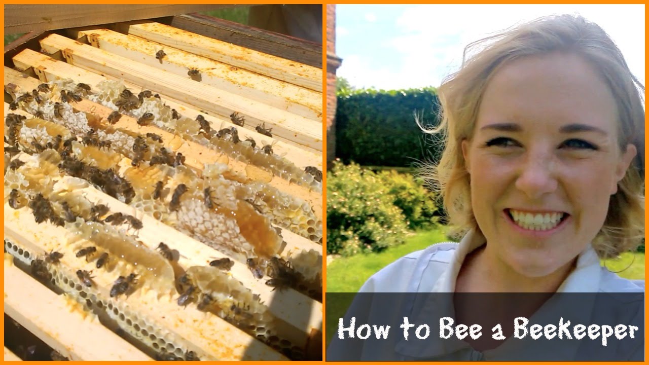 Whats inside a beehive? | Beekeeping with Maddie #2