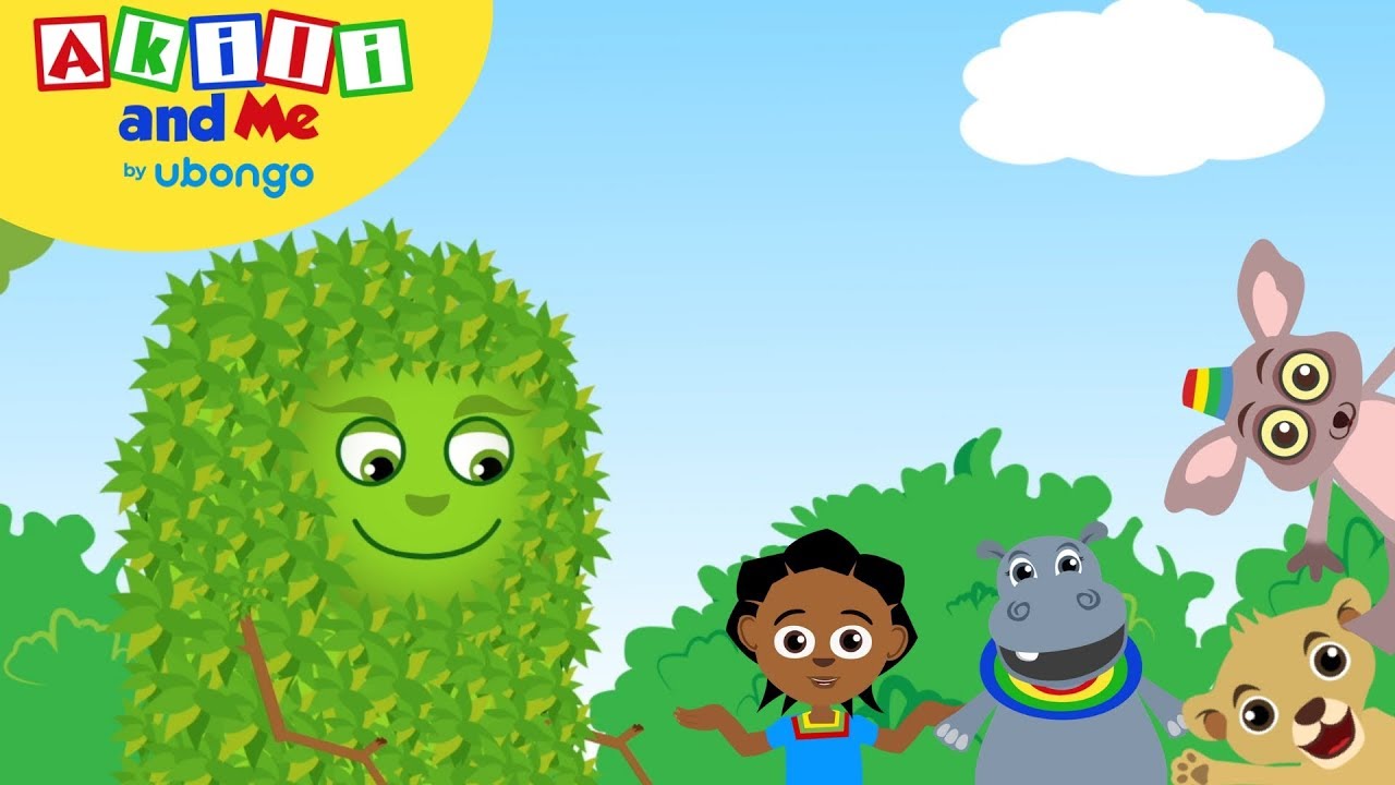 STORYTIME: Akili and the Angry Shrub! | Akili and Me FULL STORY | Cartoons for Preschoolers