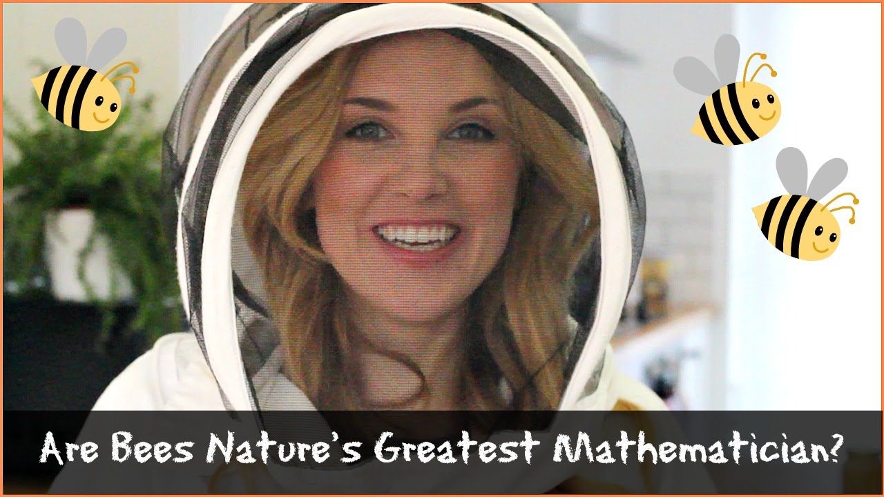 Why bees are so good at Math! | Beekeeping with Maddie #4