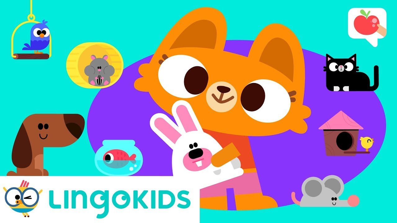 PETS FOR KIDS πΎππ½π | VOCABULARY, SONGS and GAMES | Lingokids
