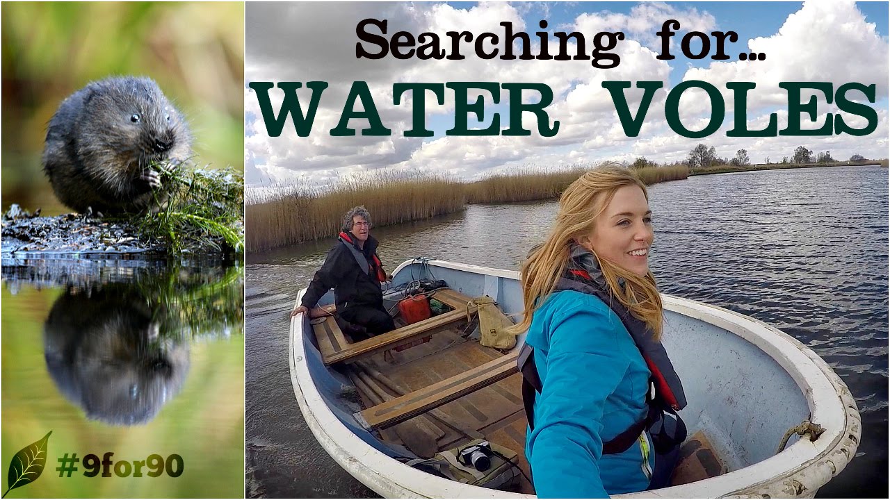 Searching for Water Voles | Maddie and the Norfolk Wildlife Trust