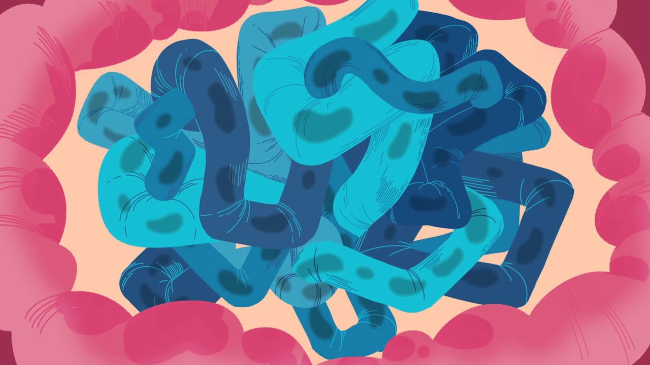 Body Songs: "Food Into Energy," The Tummy Song by StoryBots | Netflix Jr