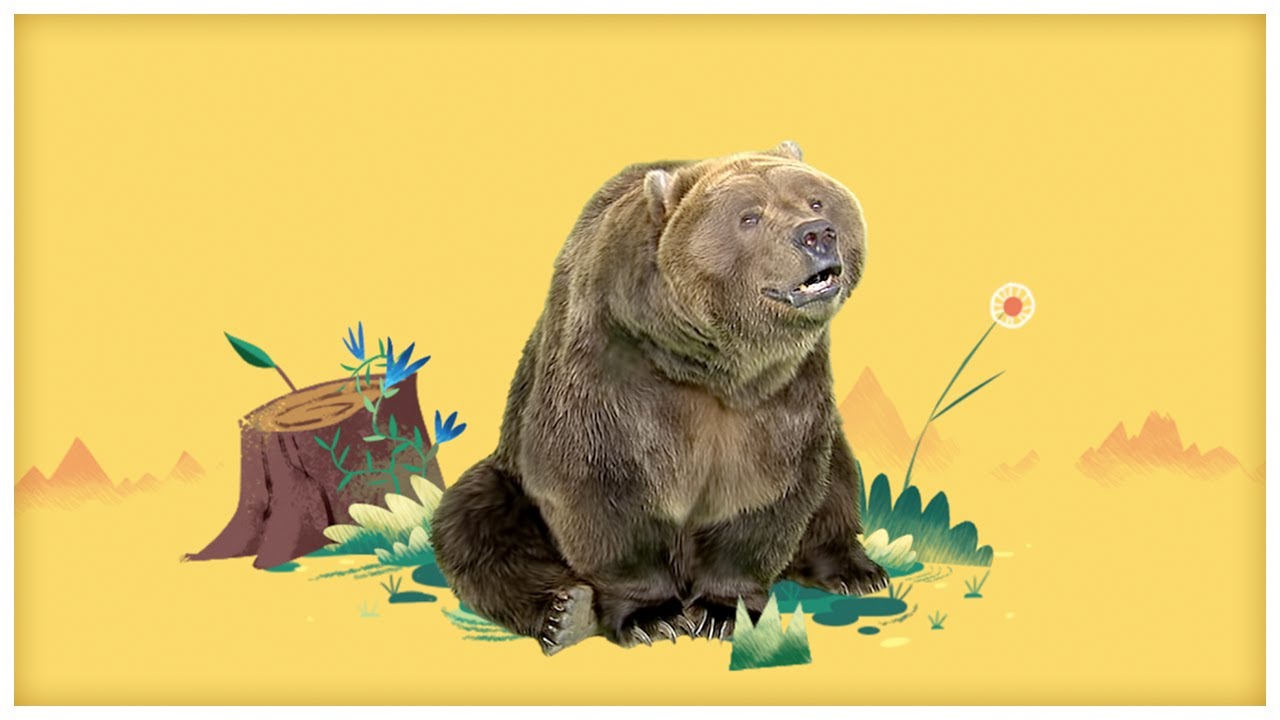 Animal Songs: "Big Brown Boogieing Bear," by StoryBots | Netflix Jr