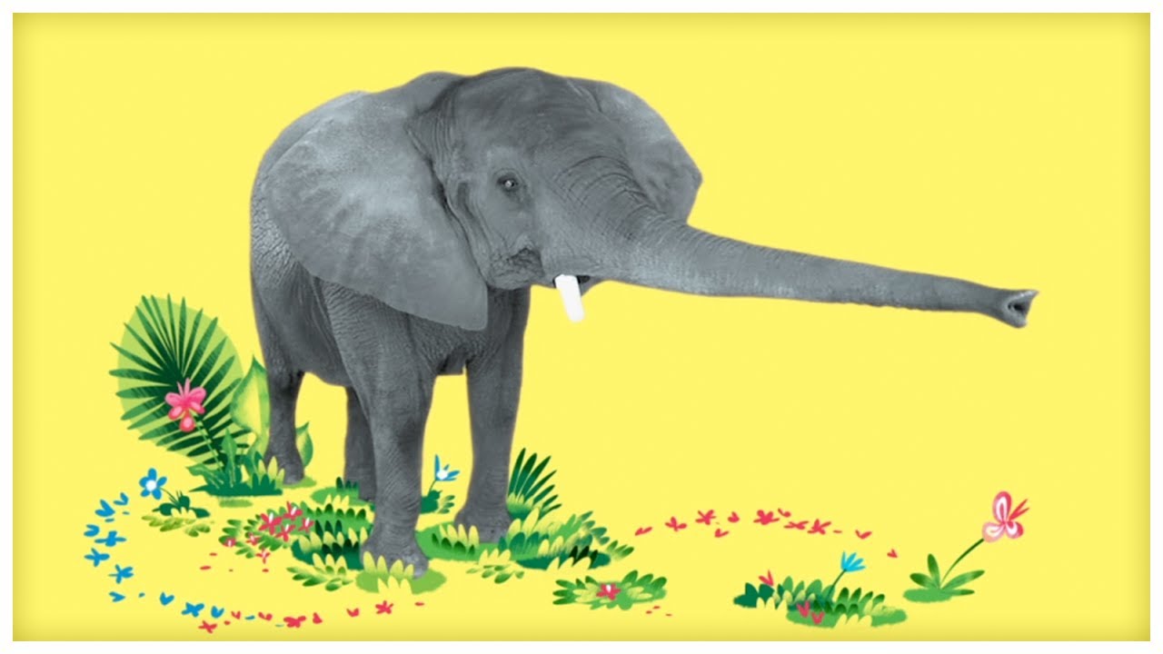 Animal Songs: "Dance with the Elephant," by StoryBots | Netflix Jr