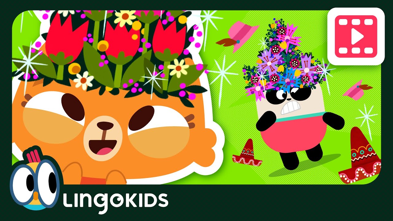 FUN WITH MATH 👒 Order by Size for kids | Lingokids Cartoons for kids