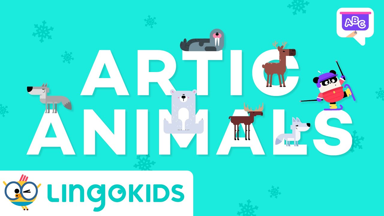Arctic Animals for Kids 🐻‍❄️❄️ | VOCABULARY FOR KIDS | Lingokids