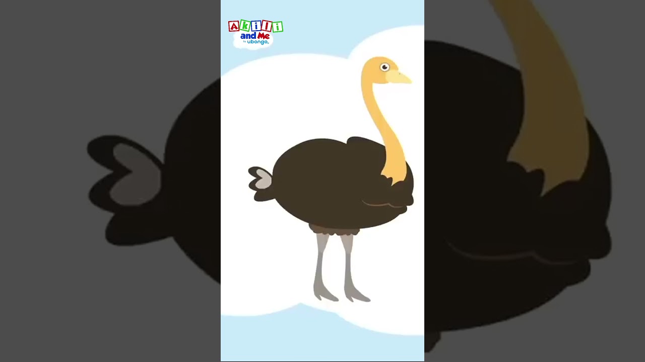 Words with letter O #shorts #alphabet #kidssongs