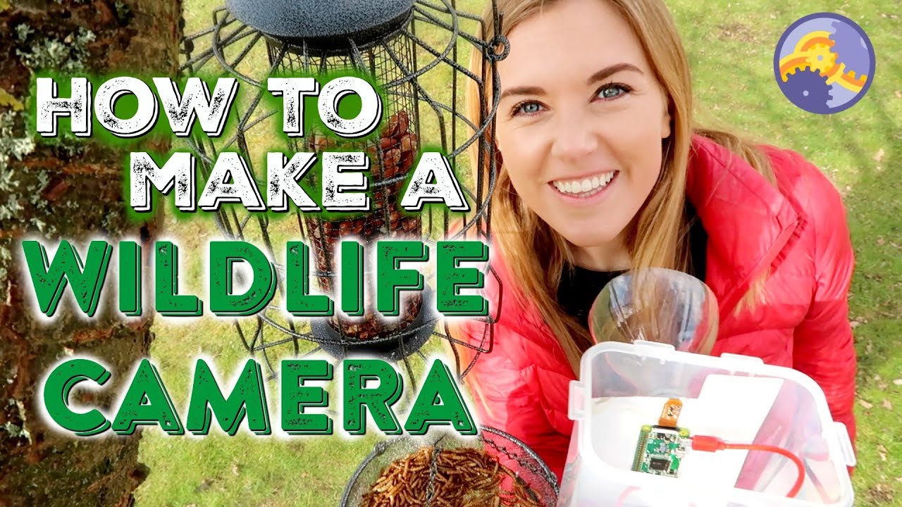 How to make a Wildlife Camera (using a Raspberry Pi!) | Maddie Moate