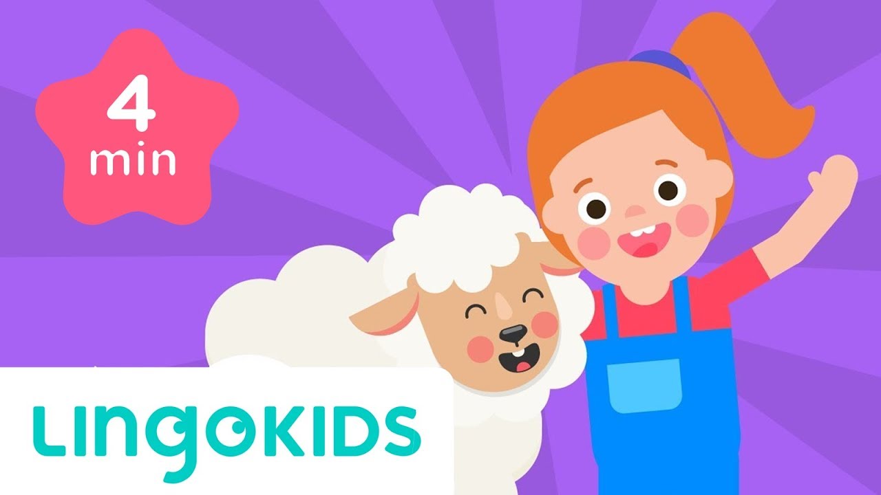 Mary Had a Little Lamb - Nursery Rhyme - Songs for Children | Lingokids