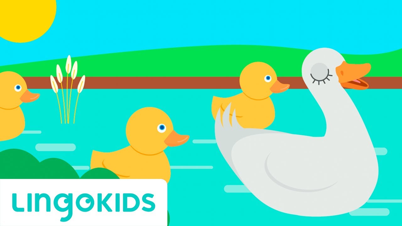 Five Little Ducks 🦆🏞️  Nursery rhymes | Lingokids