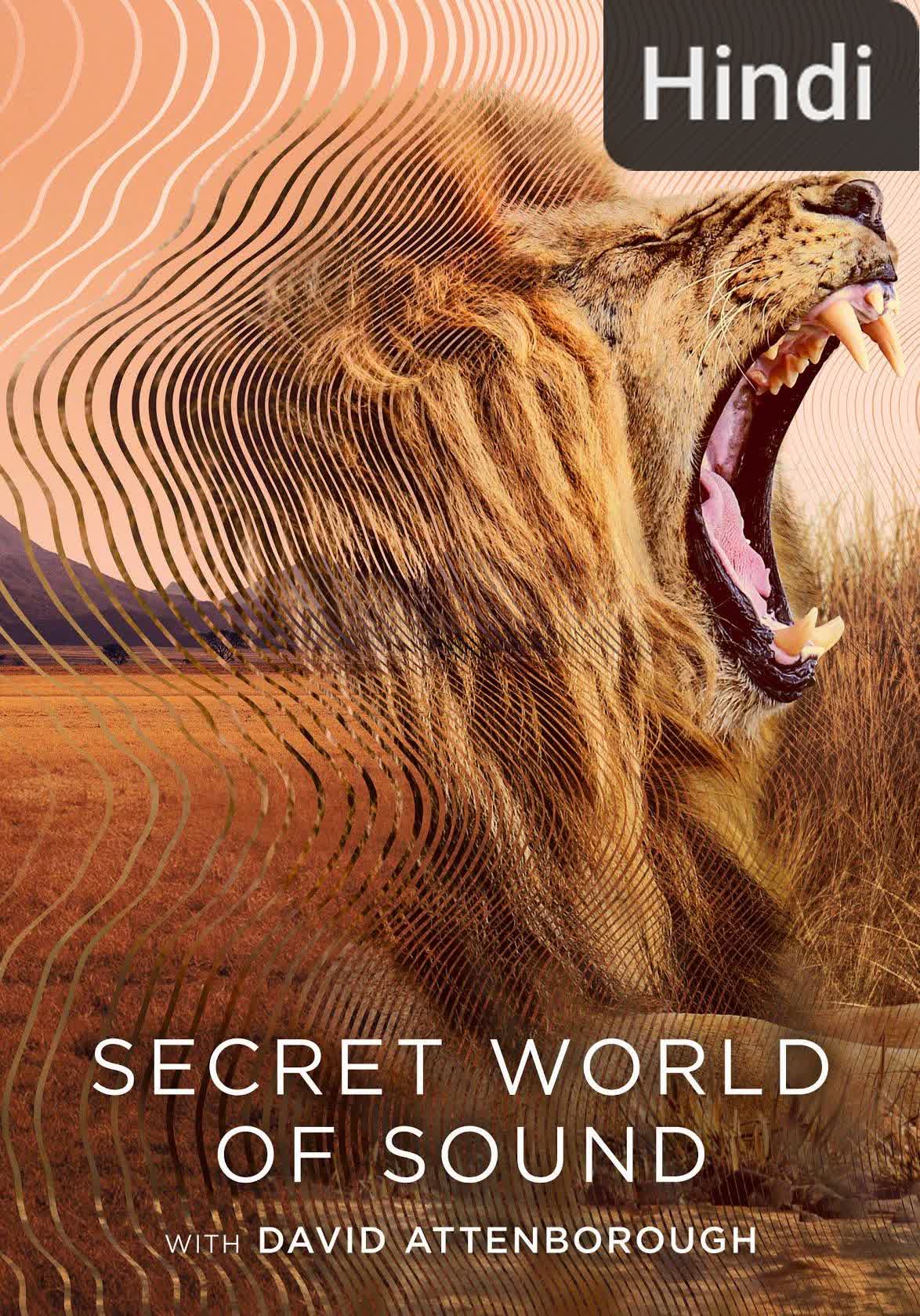 Secret World of Sound with David Attenborough [Hindi]