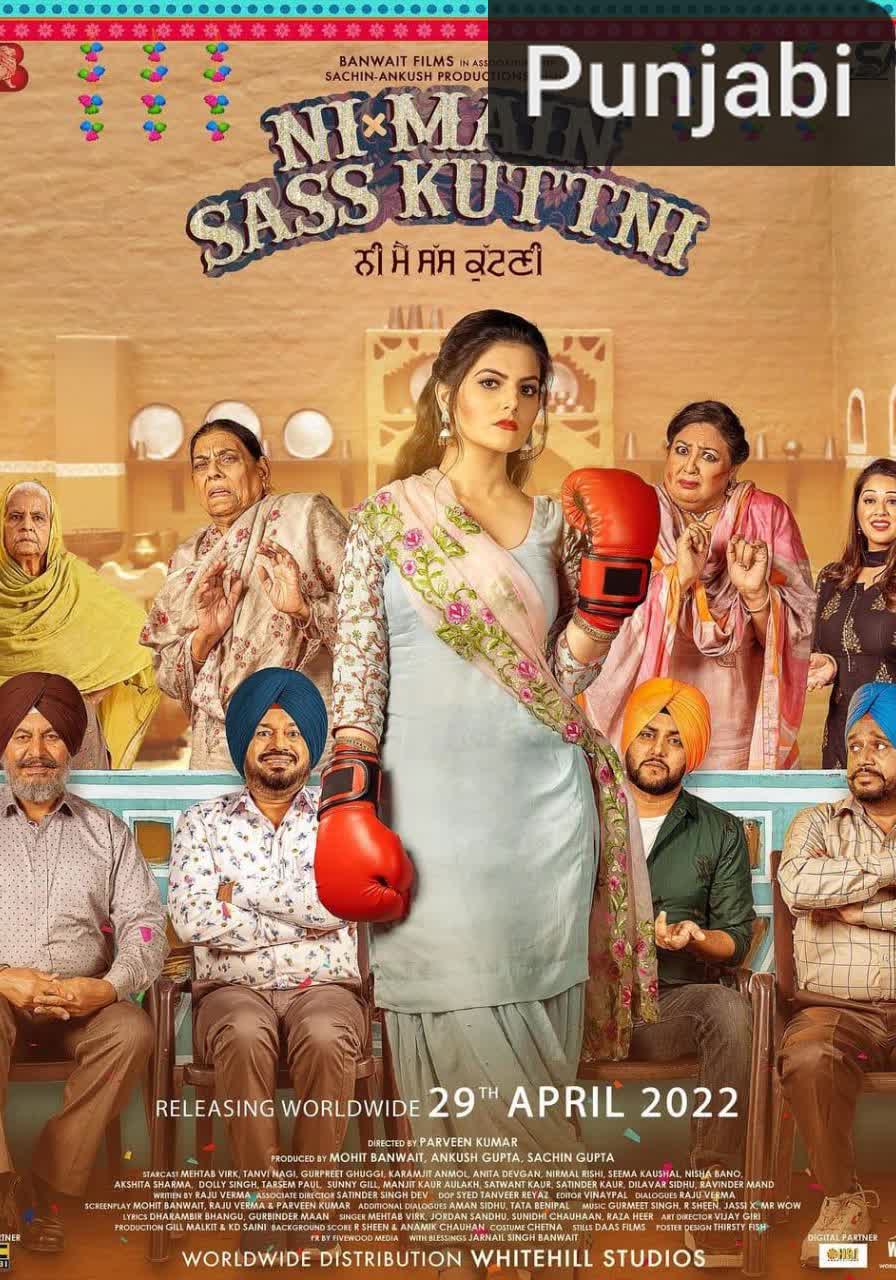 Ni Main Sass Kuttni [Punjabi]