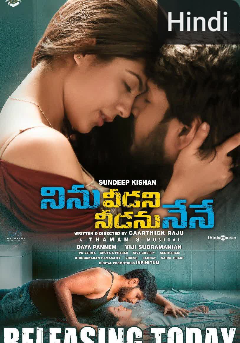 Ninu Veedani Needanu Nene [Hindi]